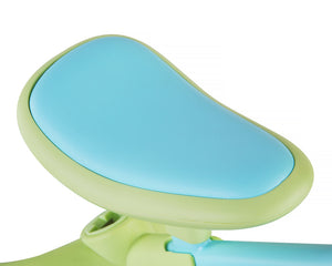 Bluey Unisex 3-in-1 Push Tricycle