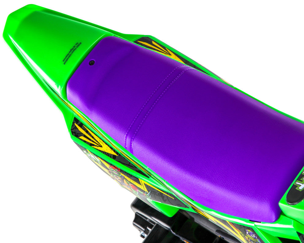Dynacraft Teenage Mutant Ninja Turtles 12V Motorcycle Ride-On Toy